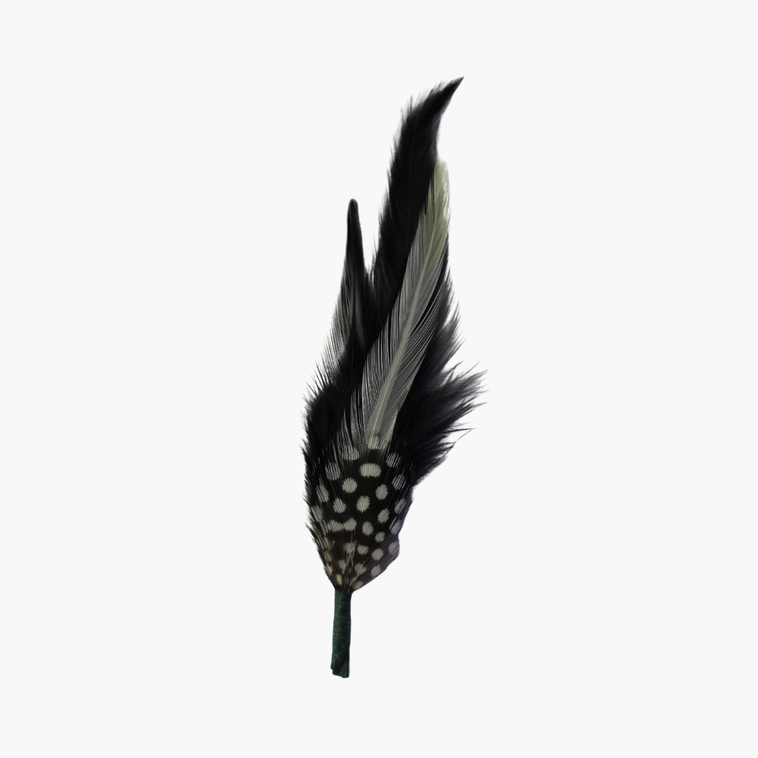 Black & White Polka Dot Hat Feather