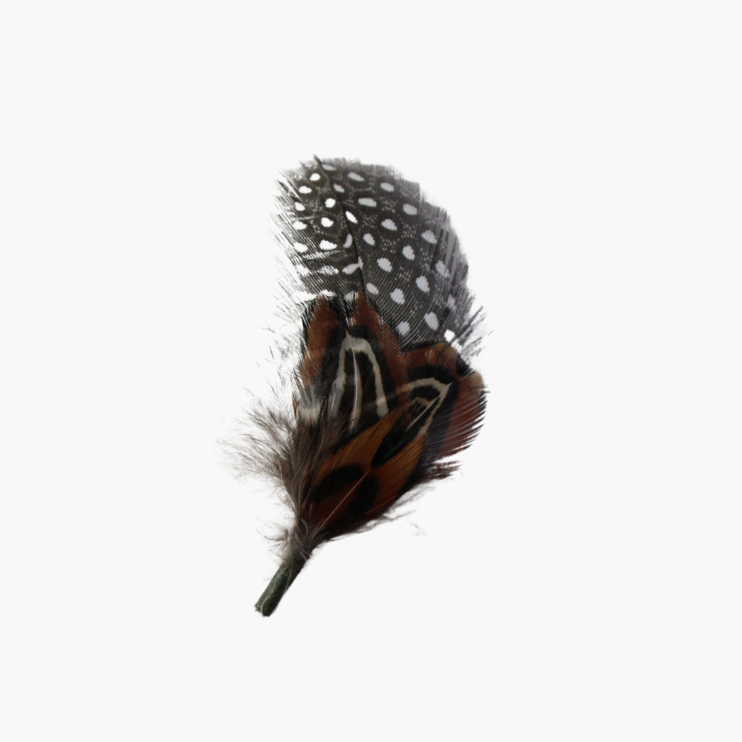 elevate style with black brown polka dot hat feather