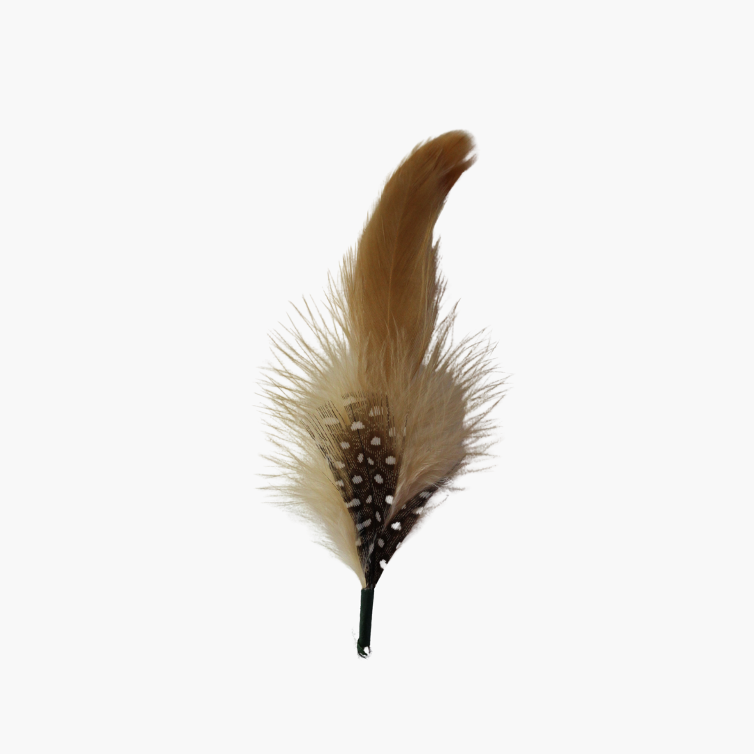 Born To Roam camel polka dot hat with feather, stylish apparel accessory featuring a unique polka dot pattern and feather detail.