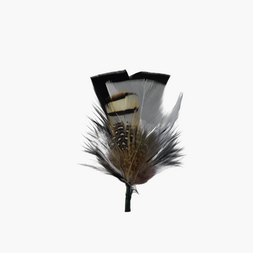 Black and cream feather hat from Born To Roam, stylish accessory with feather details, perfect for fashion-forward outfits.