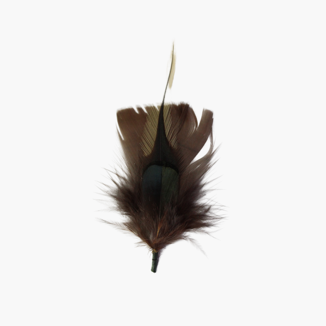 Brown & Green Hat Feather